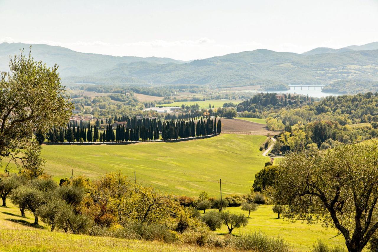 스카페리아 Borghetto Il Poggiolo Mugello - Affitti Brevi Italia 아파트 외부 사진