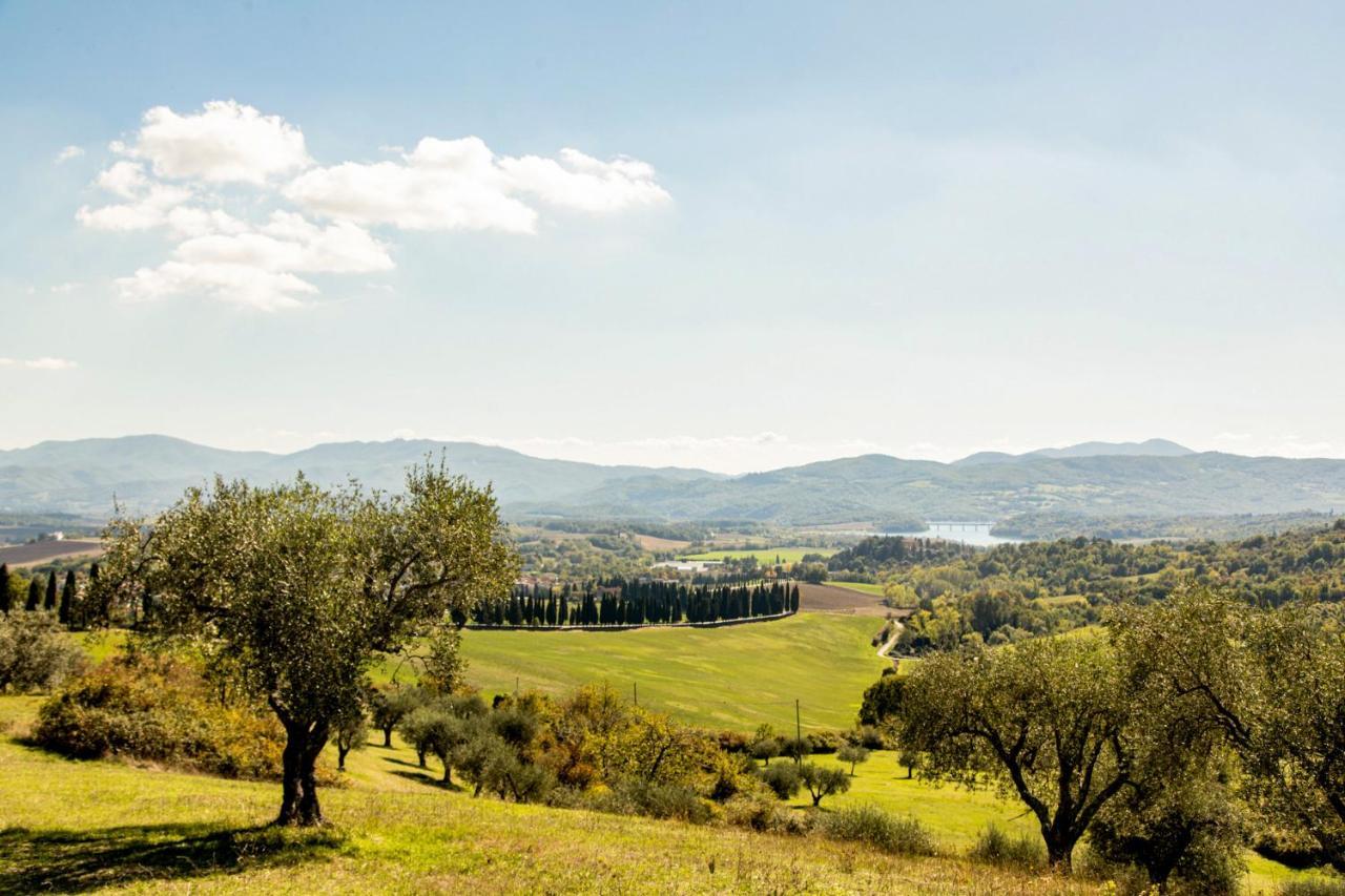 스카페리아 Borghetto Il Poggiolo Mugello - Affitti Brevi Italia 아파트 외부 사진